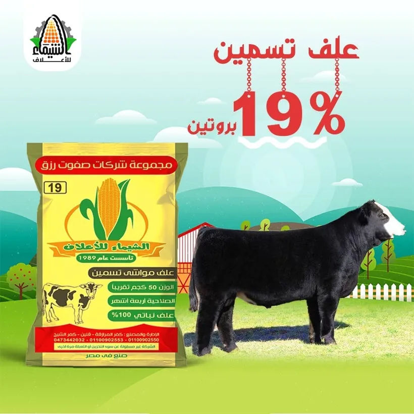 عبوة علف مواشي تسمين 19% بروتين