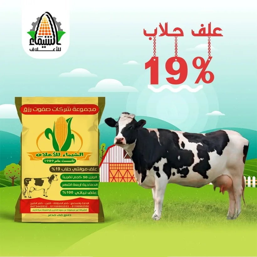 علف مواشي حلّاب 19%