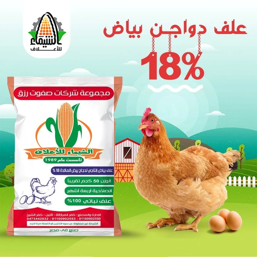 عبوة علف دواجن بياض 18% بروتين